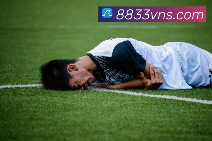 威尼斯人官方网站服务体系